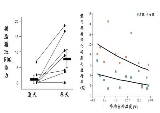 日本北海道的研究，利用正子斷層掃描和追蹤劑FDG（18-氟去氧葡萄糖）檢測，健康成人的褐脂活性以冬天高於夏天；(B) 波士頓研究指出低溫環境對褐脂的活化效果與性別差異（資料來源：Diabetes 2009;58:1526-1531，N Engl J Med. 2009;360: 1509–1517.）