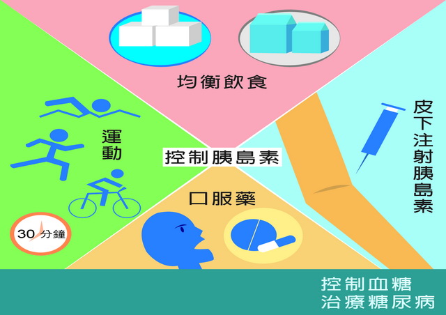 目前一般常見的糖尿病治療選擇。（圖／撰稿團隊自行設計）