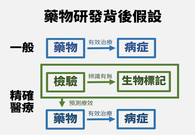 精準醫療建立在一連串的假設上，當生物標記、檢測與藥物任一個環節出錯，將會導致巨額研究資源的浪費。（圖／撰稿團隊提供）