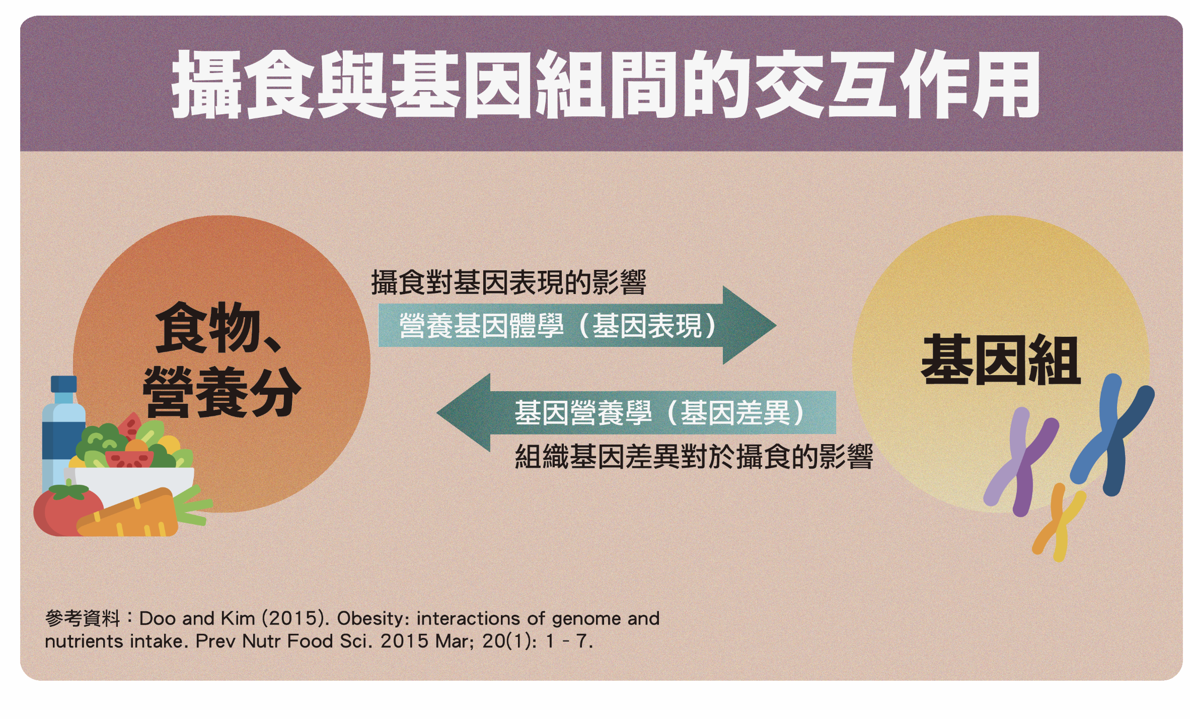 食物、營養分與基因間的交互關係。（圖／撰稿團隊製作，科技大觀園修改）