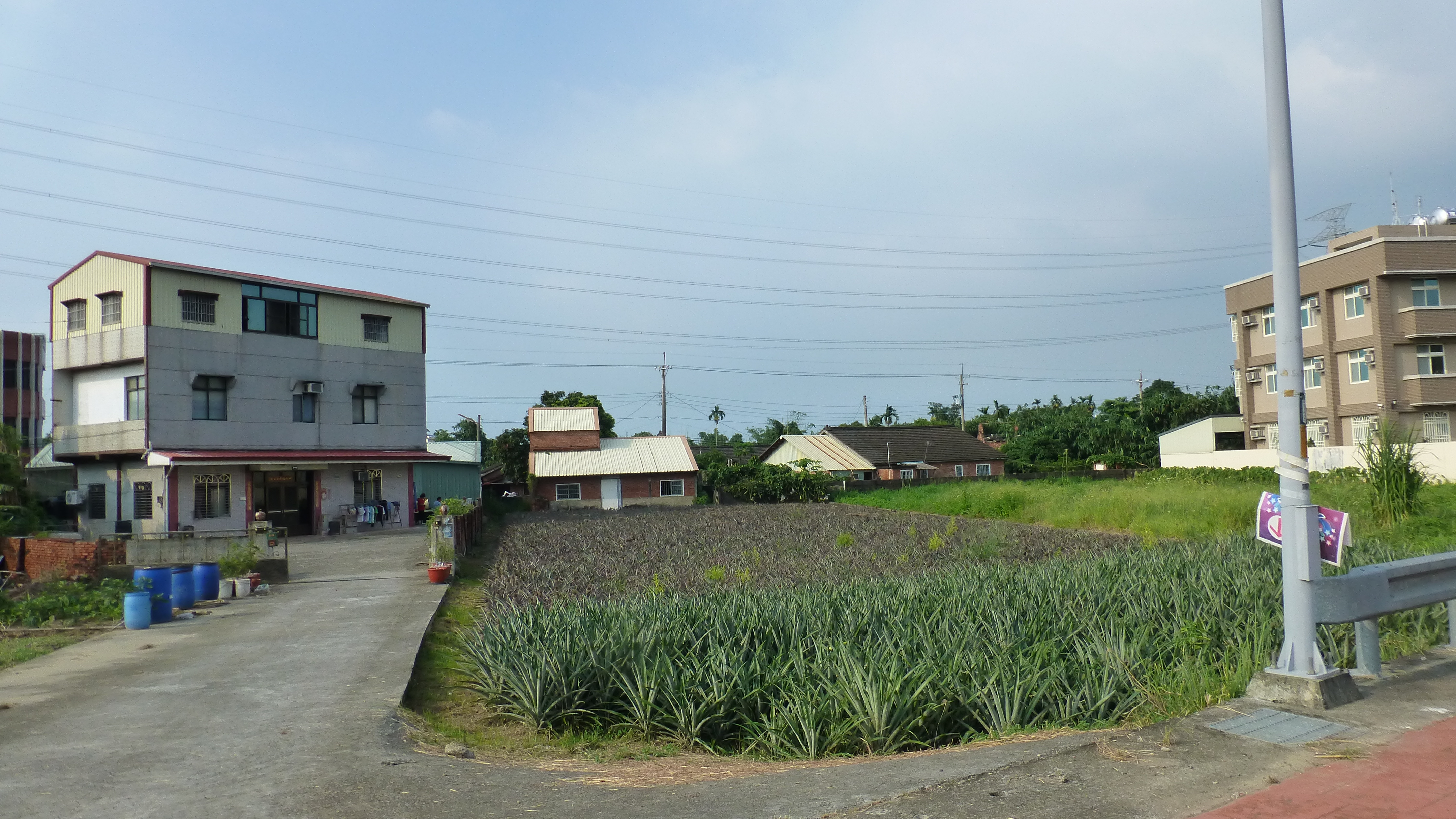 嘉義大林地區以務農為主，壯年人口大量外移導致隔代教養問題層出不窮。