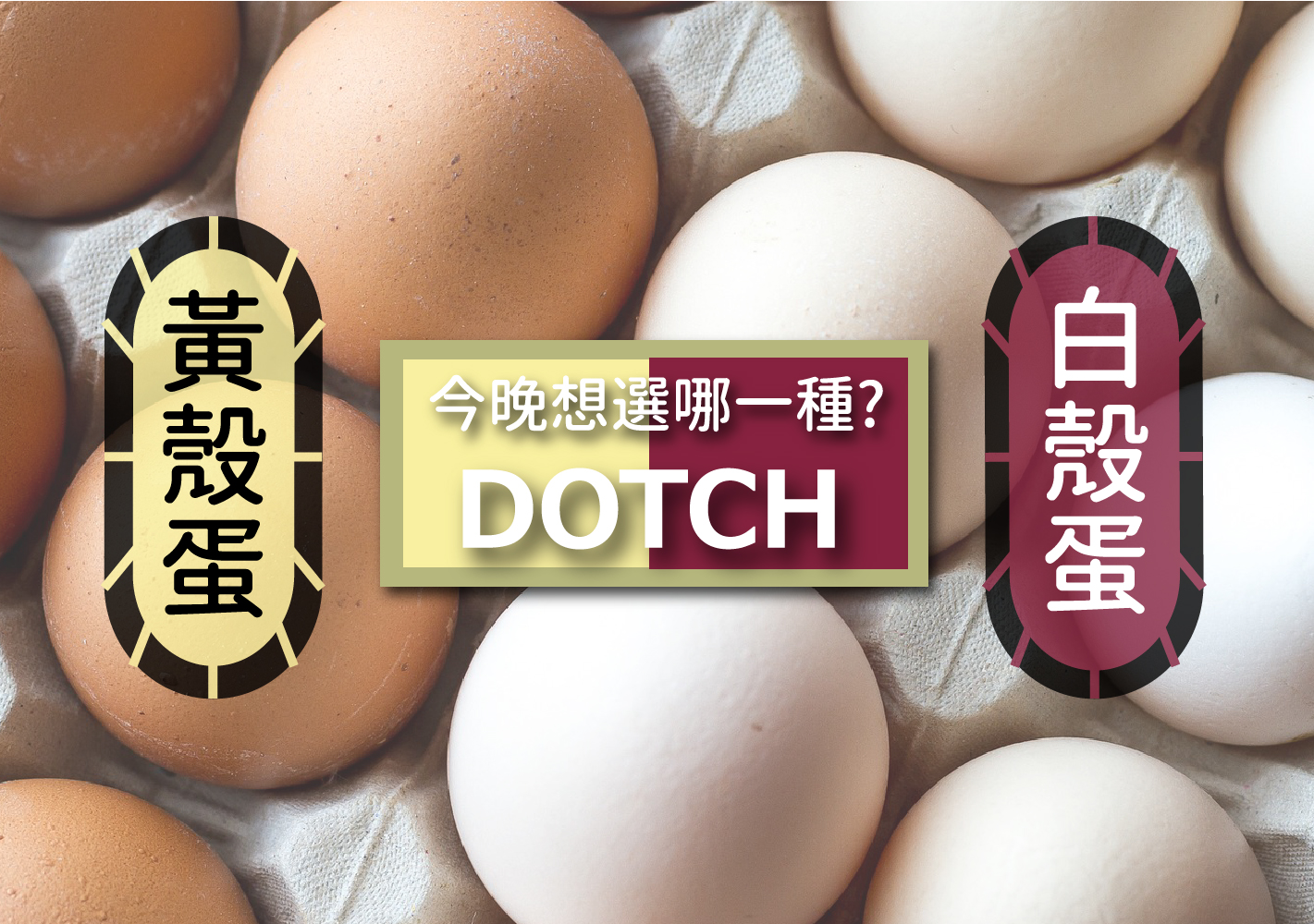 黃殼蛋和白殼蛋照片。