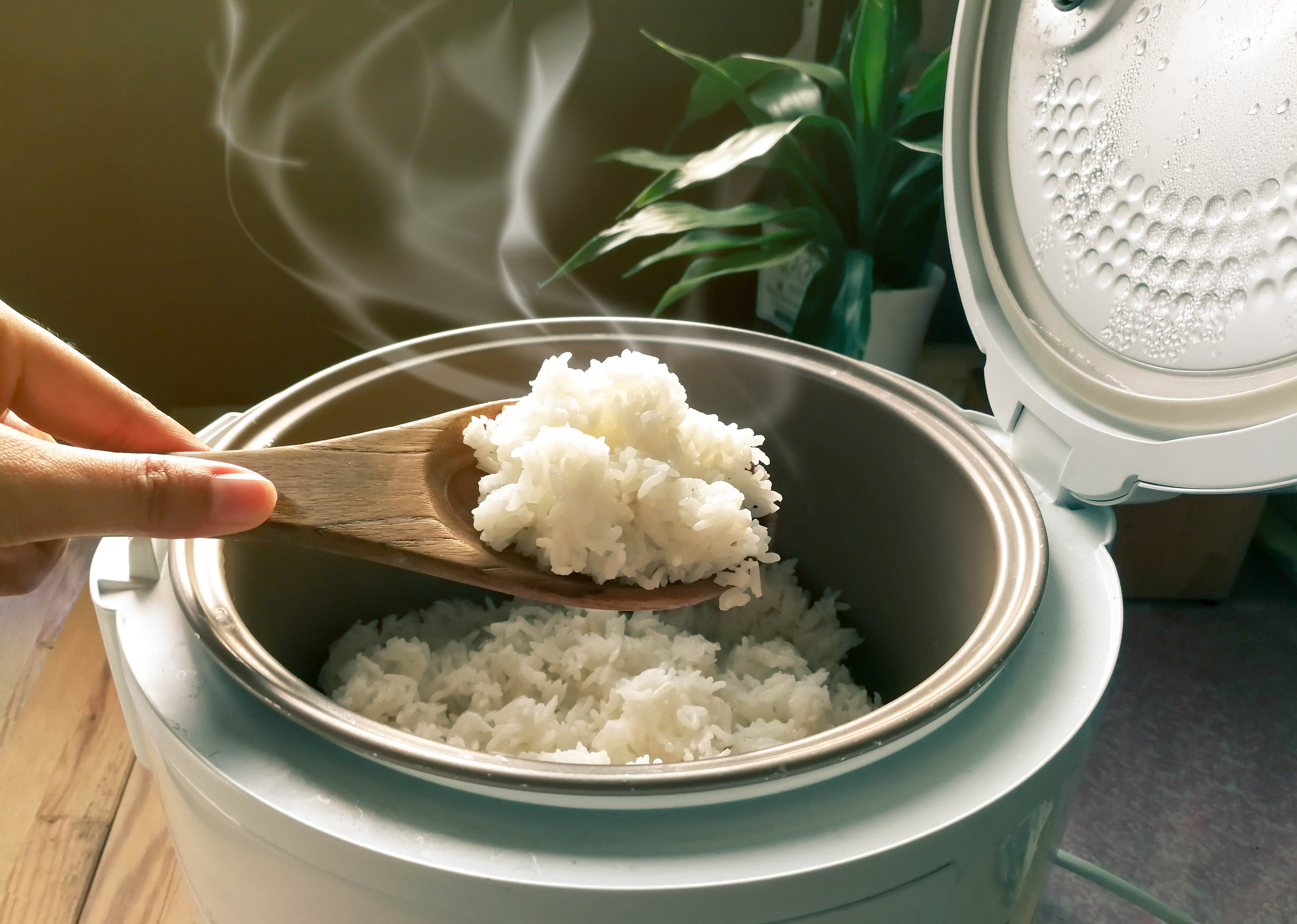 白米飯是台灣家庭常見的主要食物來源。