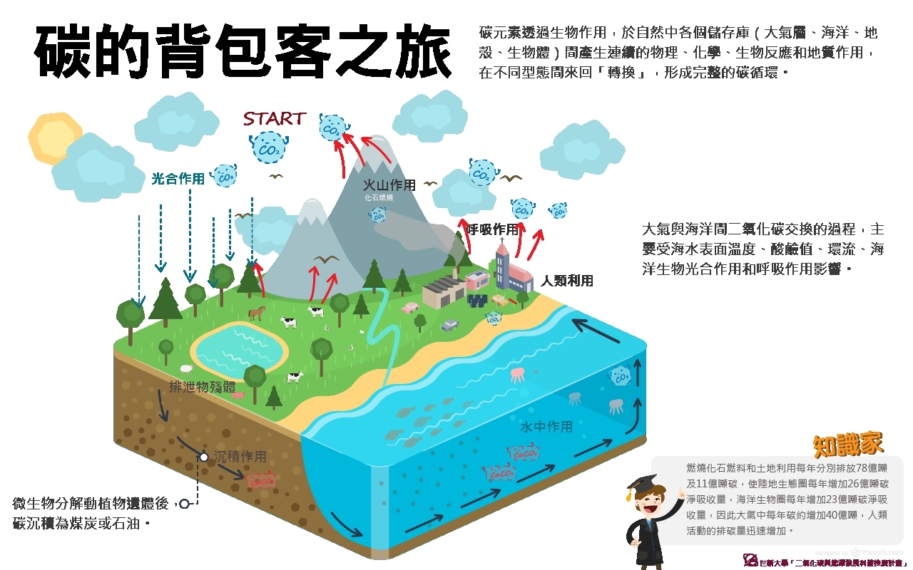 碳元素在自然中各個儲存庫因不同的作用，而有不同型態的轉換，產生循環（圖／世新大學「二氧化碳與能源發展科普推廣計畫」製作）