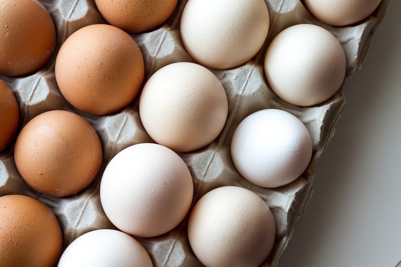 雞蛋可說是在世界各地所有料理中使用最廣泛的食材之一(圖片來源:Pixabay)