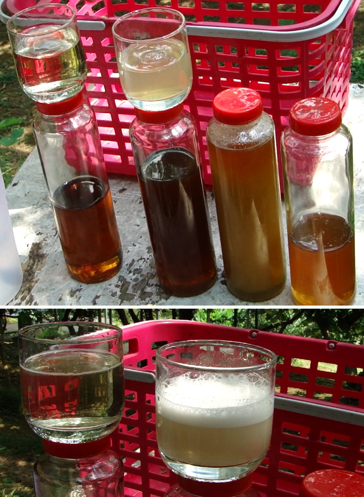 (上圖)真假蜜的簡易辨識法。假蜜透光度較高,溶於水後,顏色透明,可以看到杯子另一側。真蜜為混合物,懸浮粒子多,溶於水後,不透明,無法看到杯子另一側。(下圖)假蜜溶解於水後,持續搖晃10秒,水面的氣泡20秒內迅速的消失;真蜜溶解於水後,持續搖晃10秒,水面的氣泡可以維持數十分鐘。(圖片來源:李讚虔)