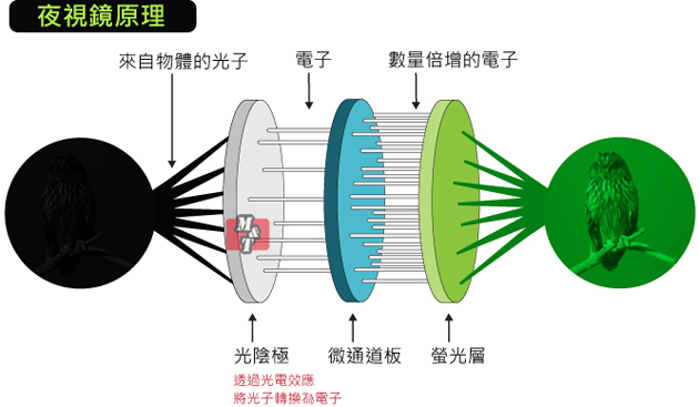 夜視鏡原理示意圖。從物體而來的光，經過光陰極轉換為電子訊號，經由微通道板將訊號放大後，打到螢光層上產生影像。（圖片來源：https://www.mtoptics.com/）