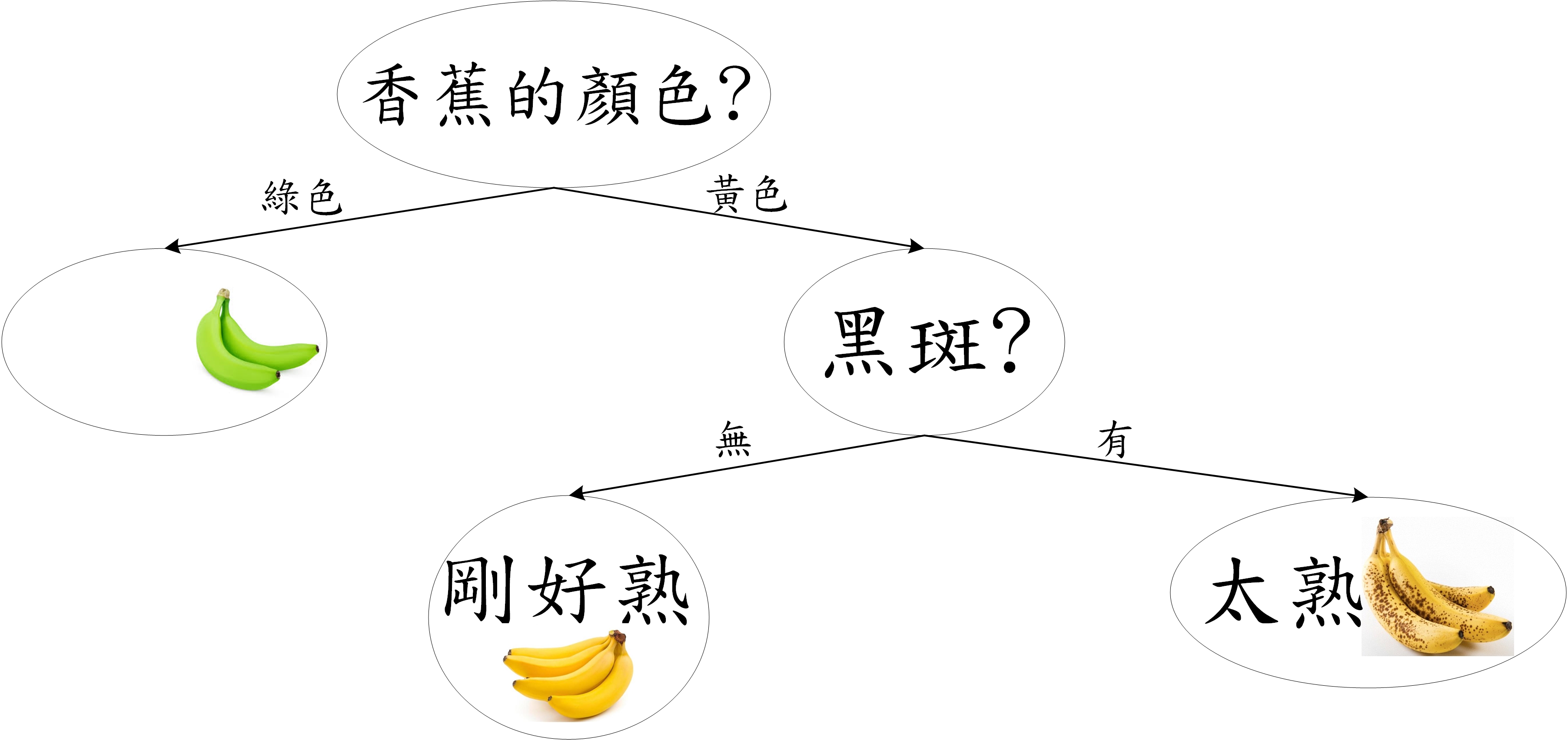 利用一個簡單的決策樹可以馬上判別香蕉的熟度(圖片來源:簡伯丞)