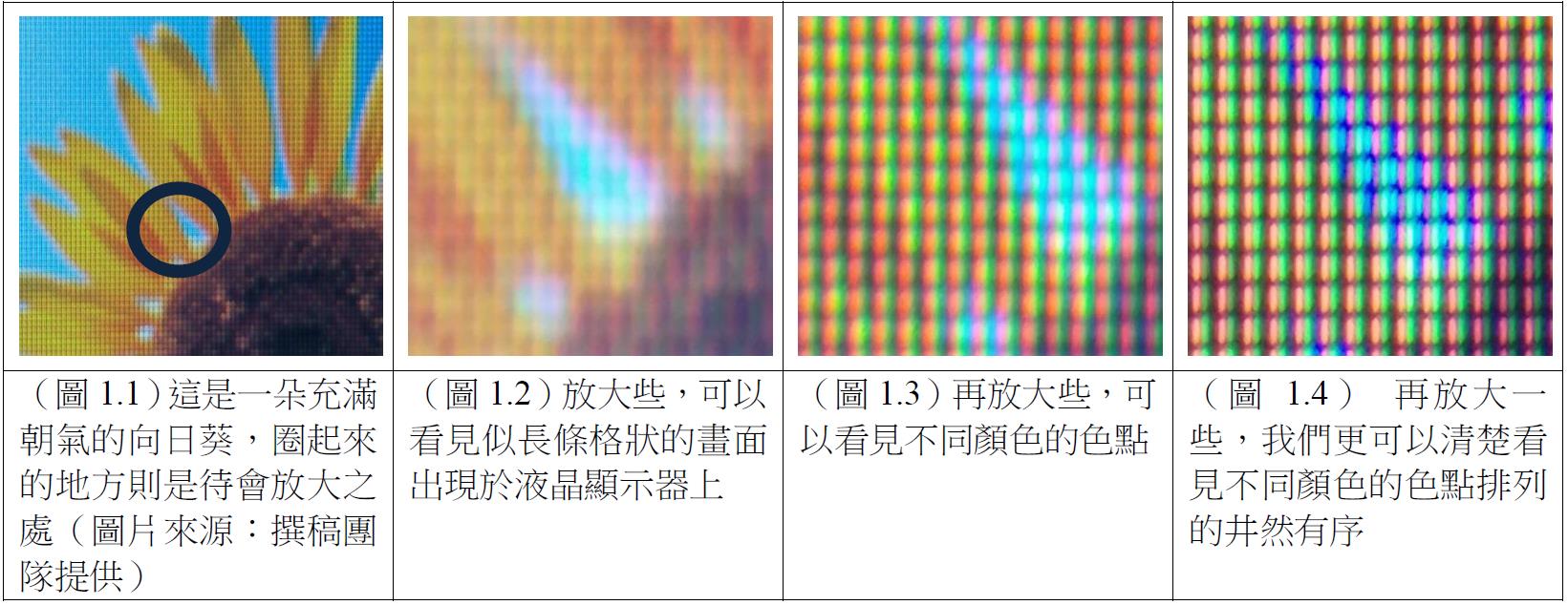 （圖片來源：撰稿團隊提供）