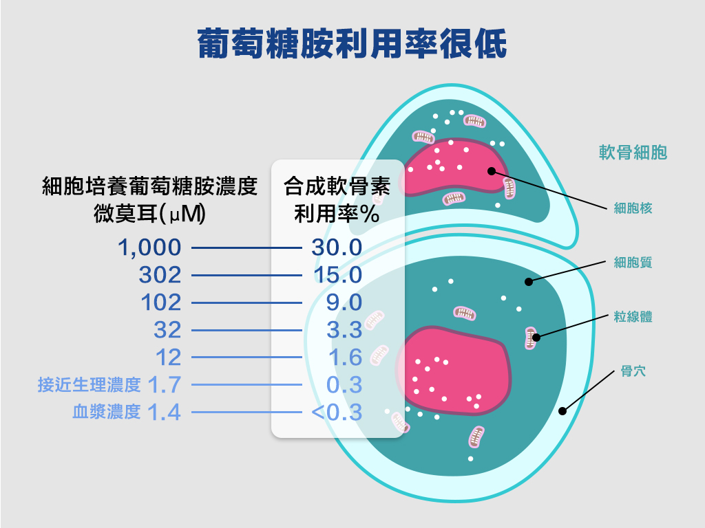 葡萄糖胺利用率