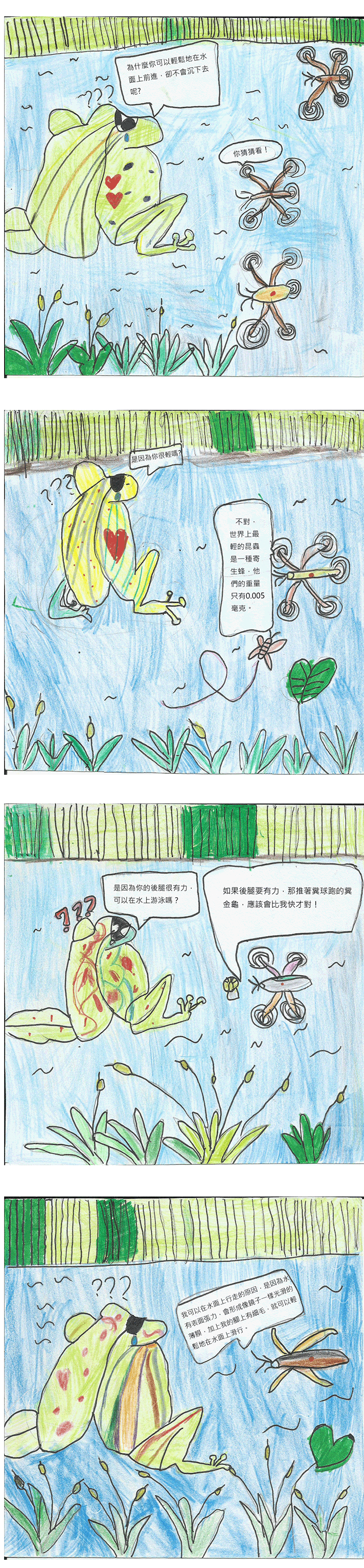 水黽的飄浮秘密