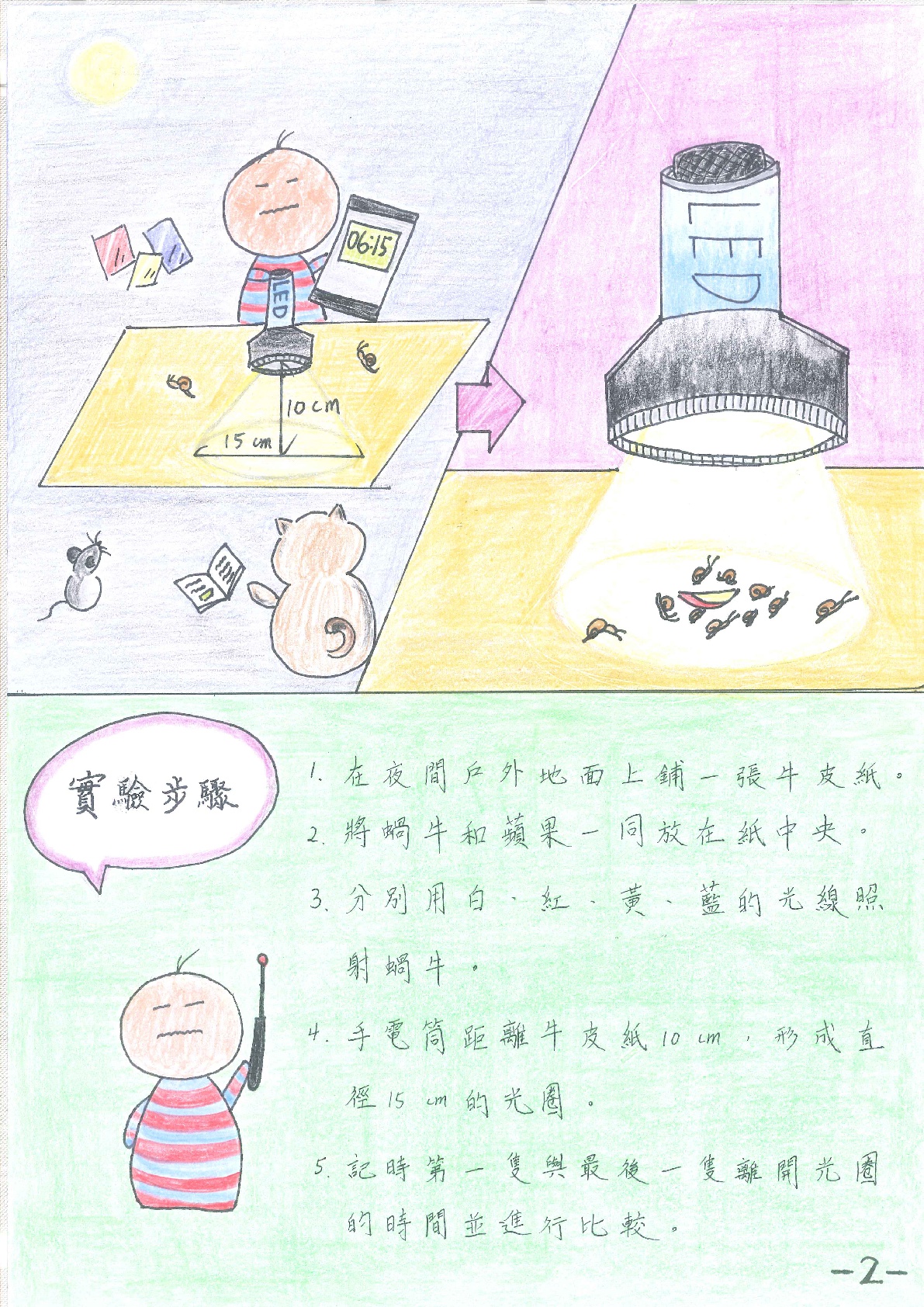 實驗步驟：1.在夜間戶外地面上鋪一張牛皮紙。2.將蝸牛和蘋果一同放在紙中央。3.分別用白、紅、黃、藍的光線照射蝸牛。4.手電筒距離牛皮紙10cm，形成直徑15cm的光圈。5.計時第一隻與最後一隻離開光圈的時間並進行比較。
