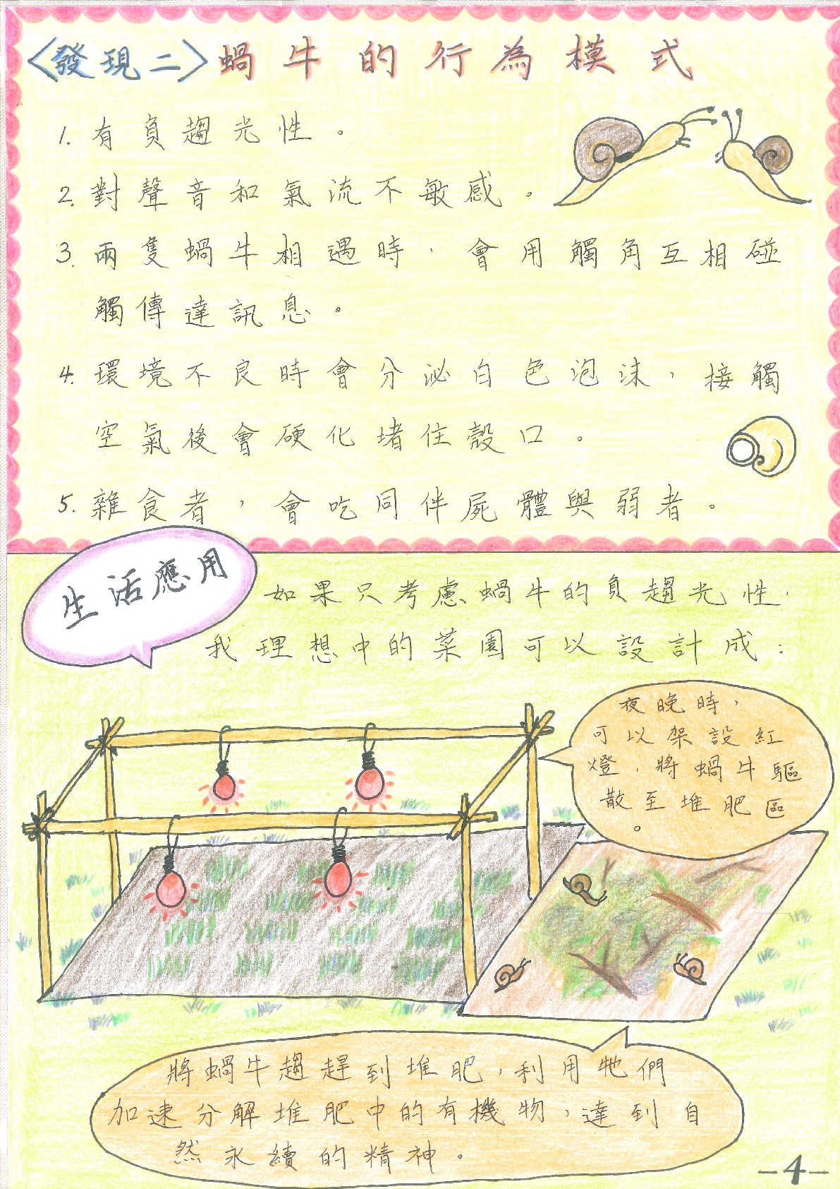 <發現二>蝸牛的行為模式：1.有負趨光性。2.對聲音和氣流不敏感。3.兩隻蝸牛相遇時，會用觸角互相碰觸傳達訊息。4.環境不良時會分泌白色泡沫，接觸空氣後會硬化堵住殼口。5.雜食者，會吃同伴屍體與弱者。生活應用：如果只考慮蝸牛的負趨光性，我理想中的菜園可以設計成：夜晚時，可以架設紅燈，將蝸牛驅散至堆肥區。將蝸牛驅趕到堆肥，利用牠們加速分解堆肥中的有機物，達到自然永續的精神。