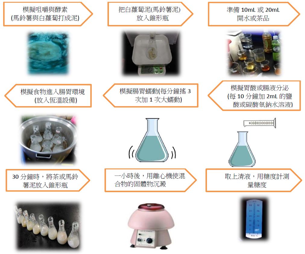 模擬咀嚼與酵素(馬鈴薯與白蘿蔔打成泥)→把白蘿蔔泥(馬鈴薯泥)放入錐形瓶→準備 10mL 或 20mL開水或茶品→模擬胃酸或腸液分泌(每 10 分鐘加 2mL 的鹽酸或碳酸氫鈉水溶液)→模擬腸胃蠕動(每分鐘搖 3次加 1 次大蠕動)→模擬食物進入腸胃環境(放入恆溫設備)→30 分鐘時，將茶或馬鈴薯泥放入錐形瓶→一小時後，用離心機使混合物的固體物沉澱→取上清液，用糖度計測量糖度