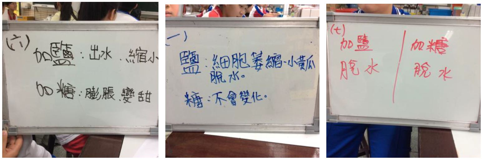 大部分組別預測鹽與糖所造成的結果不同，僅少數組別認為鹽與糖會造成相同的結果