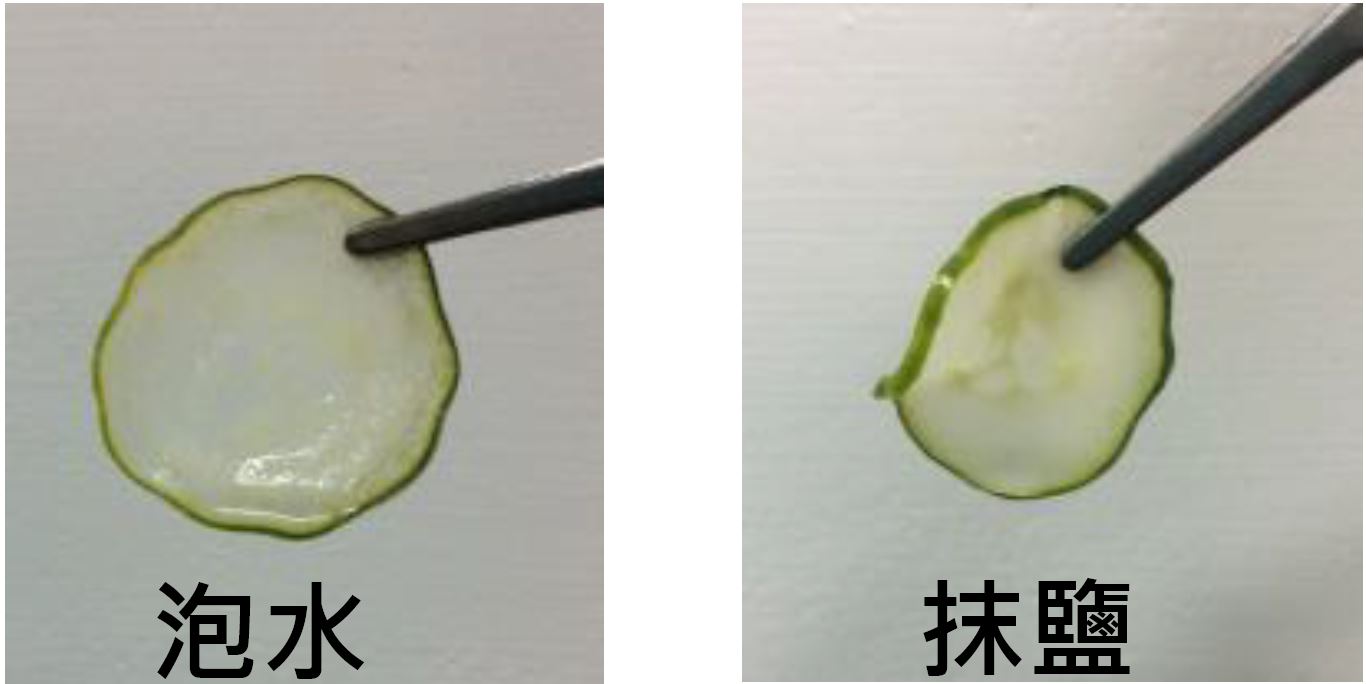 由於未讓學生親手做此實驗，故在搶答結束後，將教師事先所做的實驗結果以照片方式呈現