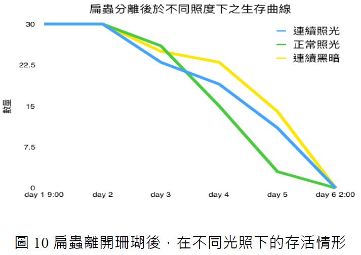 圖 10 扁蟲離開珊瑚後，在不同光照下的存活情形