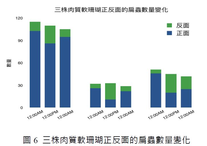圖 6 三株肉質軟珊瑚正反面的扁蟲數量變化