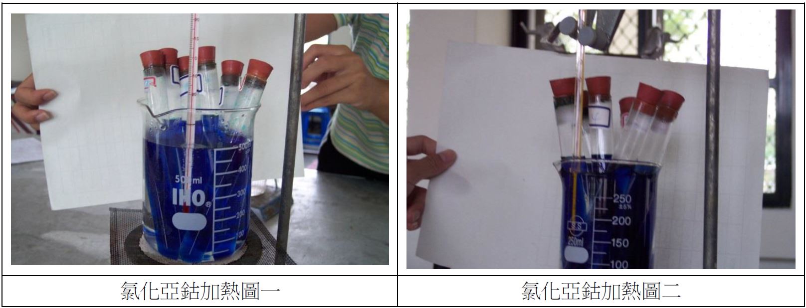 氯化亞鈷加熱圖一。氯化亞鈷加熱圖二