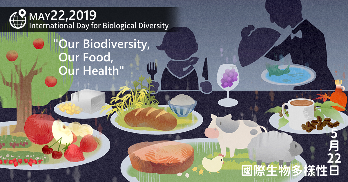 《生物多樣性公約》目的是訂立一套國際性策略，使生物多樣性得以保護和可持續發展。是一項具有國際法約束力的條約，被視為可持續發展的關鍵文件。