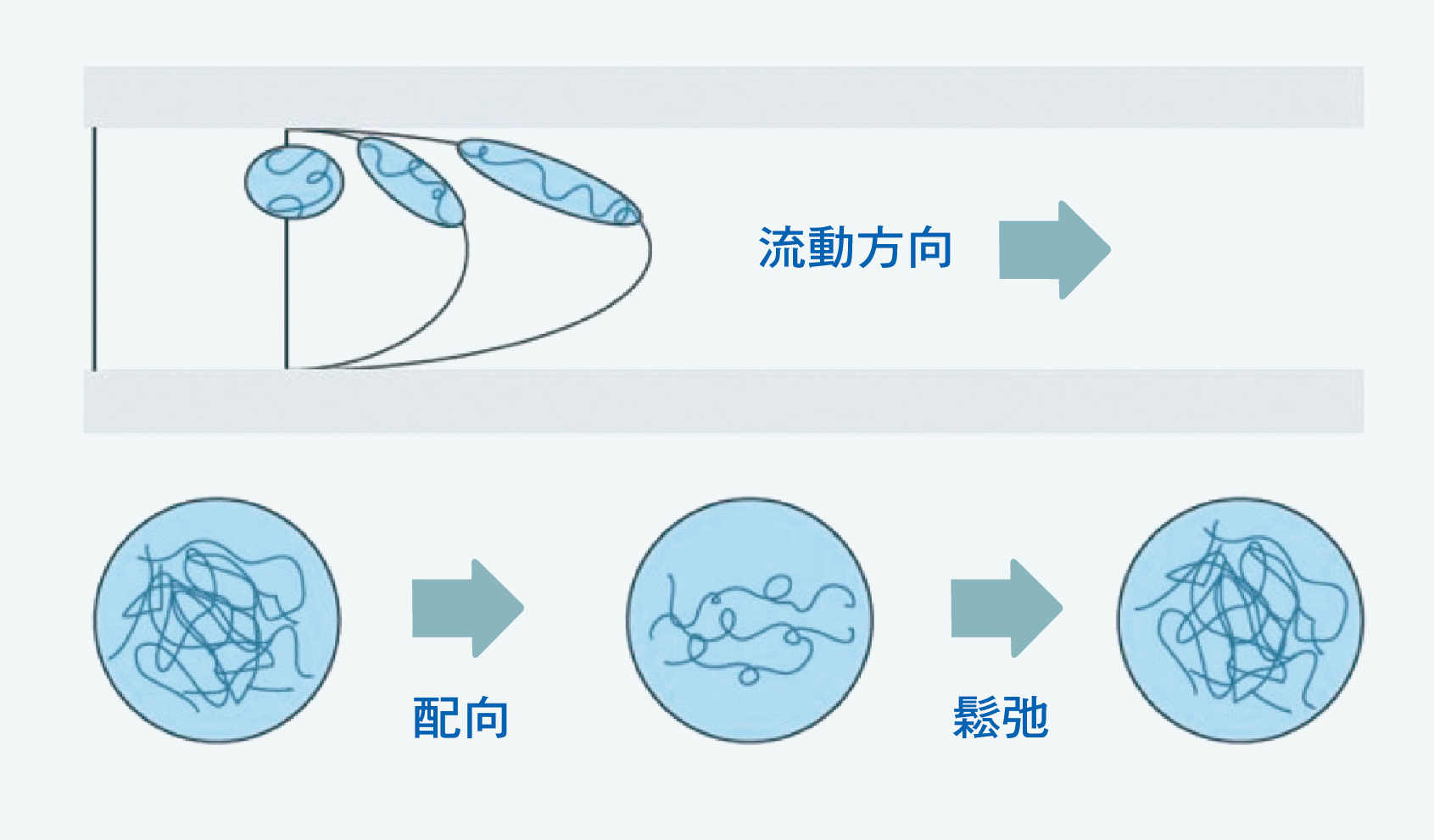 噴泉流的剪切流場導致的分子鏈排向