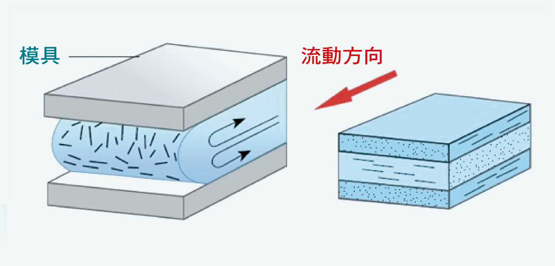 噴泉流導致的纖維方向