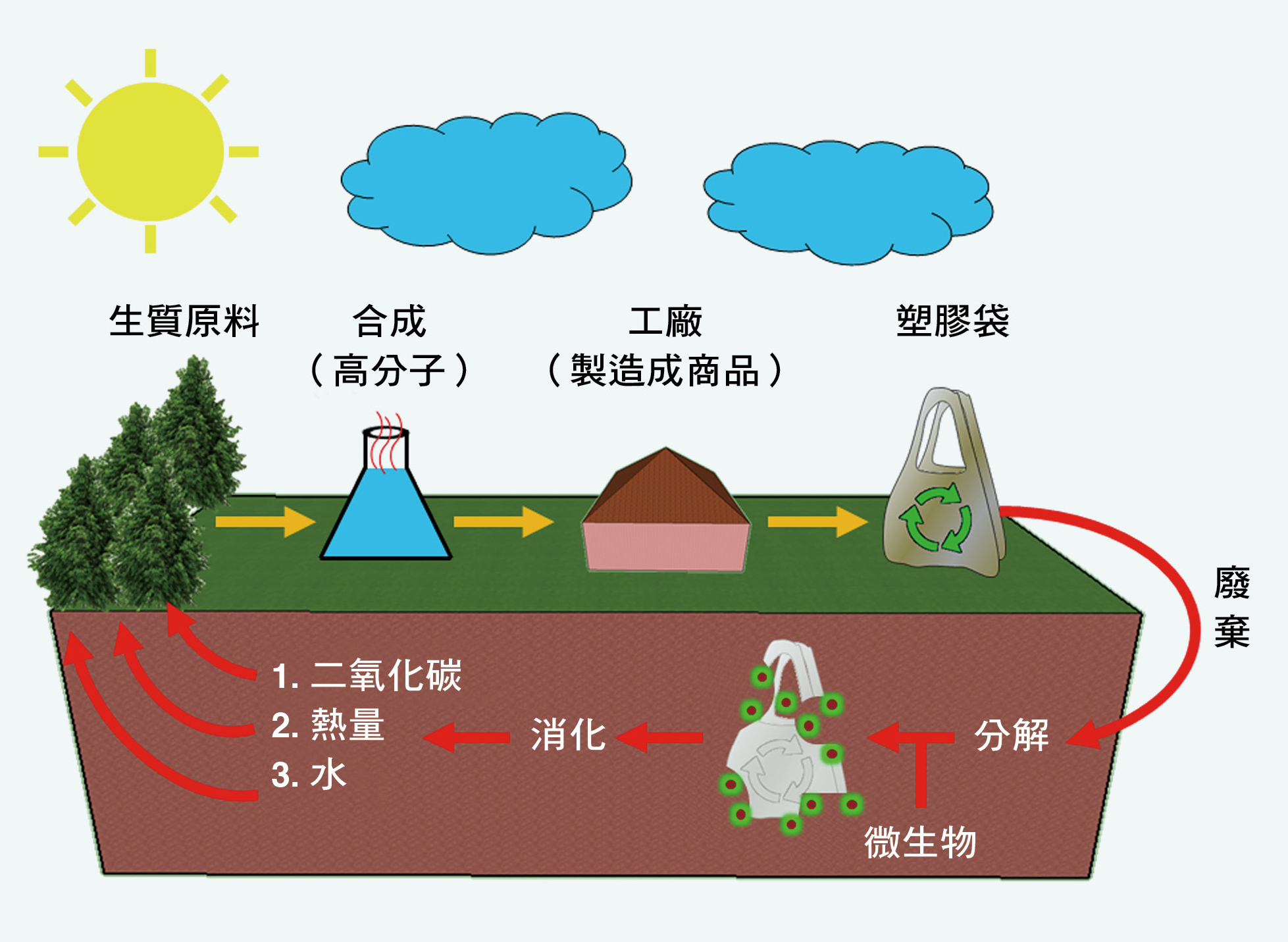 生物可分解高分子的分解示意圖