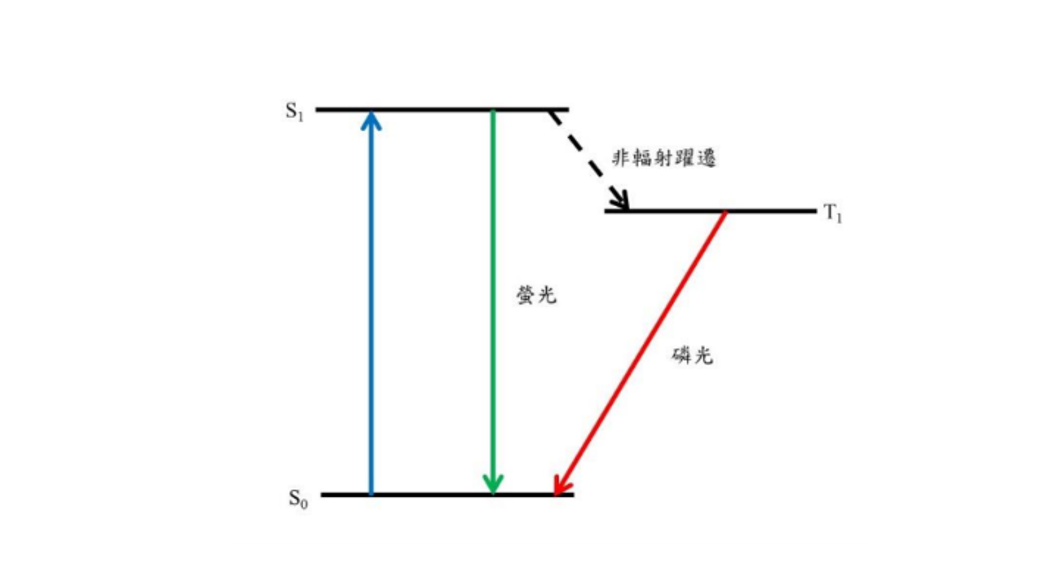 圖五。