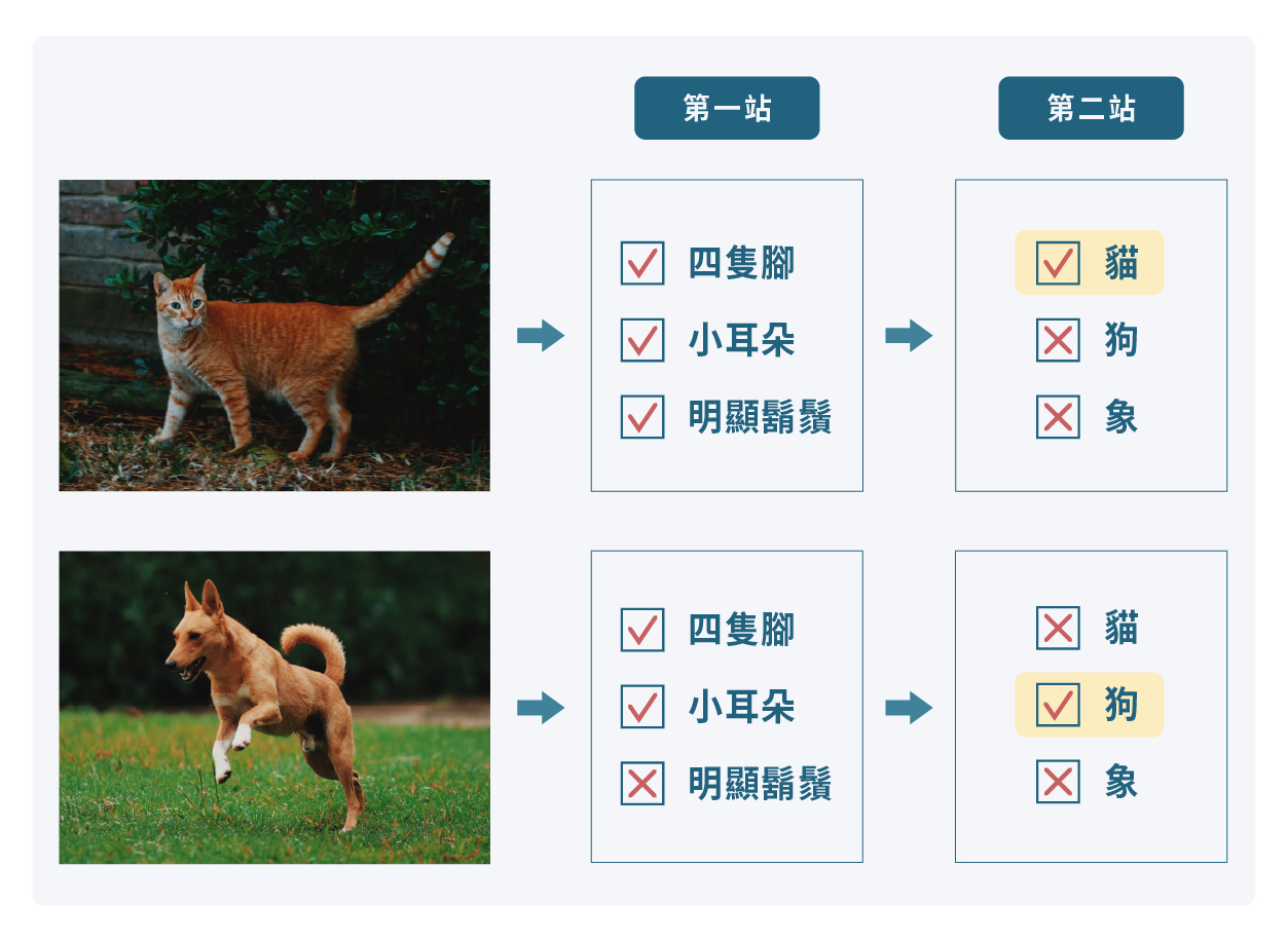 舉例來說，如果要辨識圖片裡是什麼動物，第一站可能負責偵測圖片裡是否出現鬍鬚、斑紋、四隻腳等特徵，第二站再根據第一站的結果判斷。如果第一站的偵測能力很好，第二站也不需太多訓練資料就能判斷。　（圖／沈佩泠繪，資料來源：李宏毅）