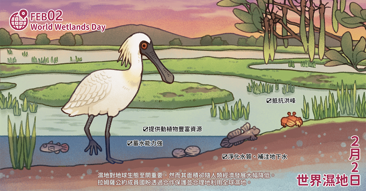 2月2日 世界濕地日