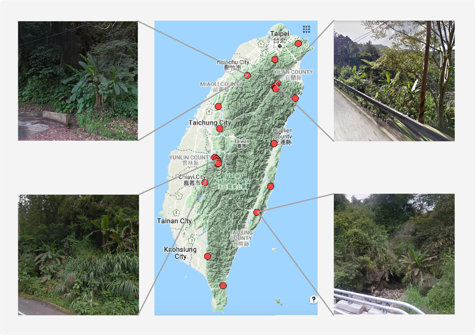 「Google街景」製作芭蕉的分佈網路。（圖／李承叡提供）