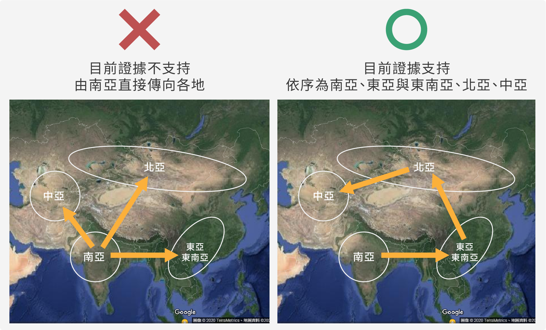 綠豆從哪裡來？目前證據支持綠豆由南亞發跡，依序傳播至東亞與東南亞，然後到北亞，最後至中亞。（圖／沈佩泠繪，資料來源：李承叡）