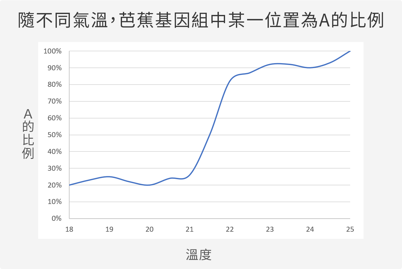 在不同氣溫下，芭蕉基因組某一位置為A的比例。（圖／沈佩泠繪）