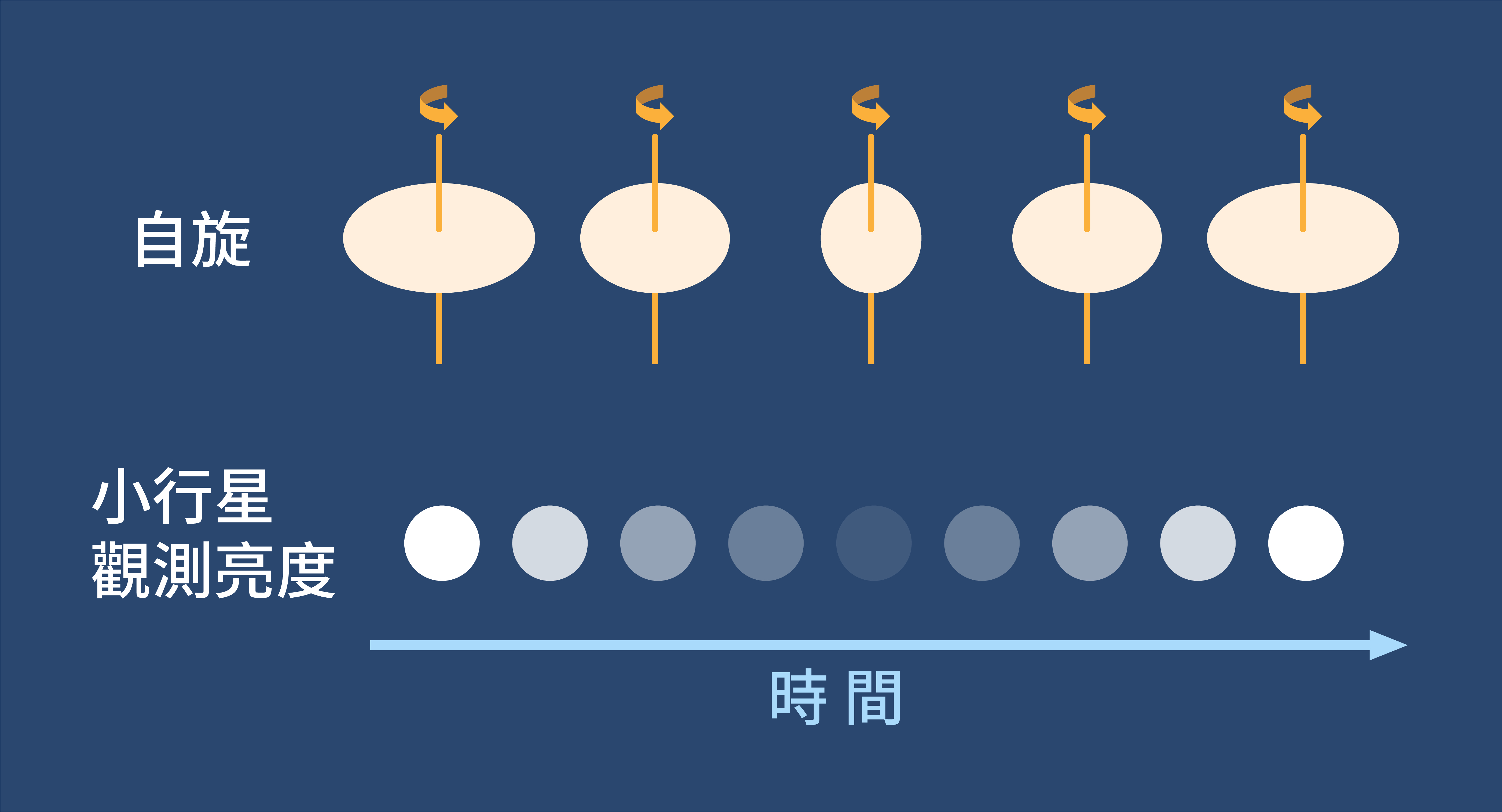 從小行星的亮度變化可以推算出它的自旋週期。（圖／沈佩泠繪，資料來源：李昫岱）