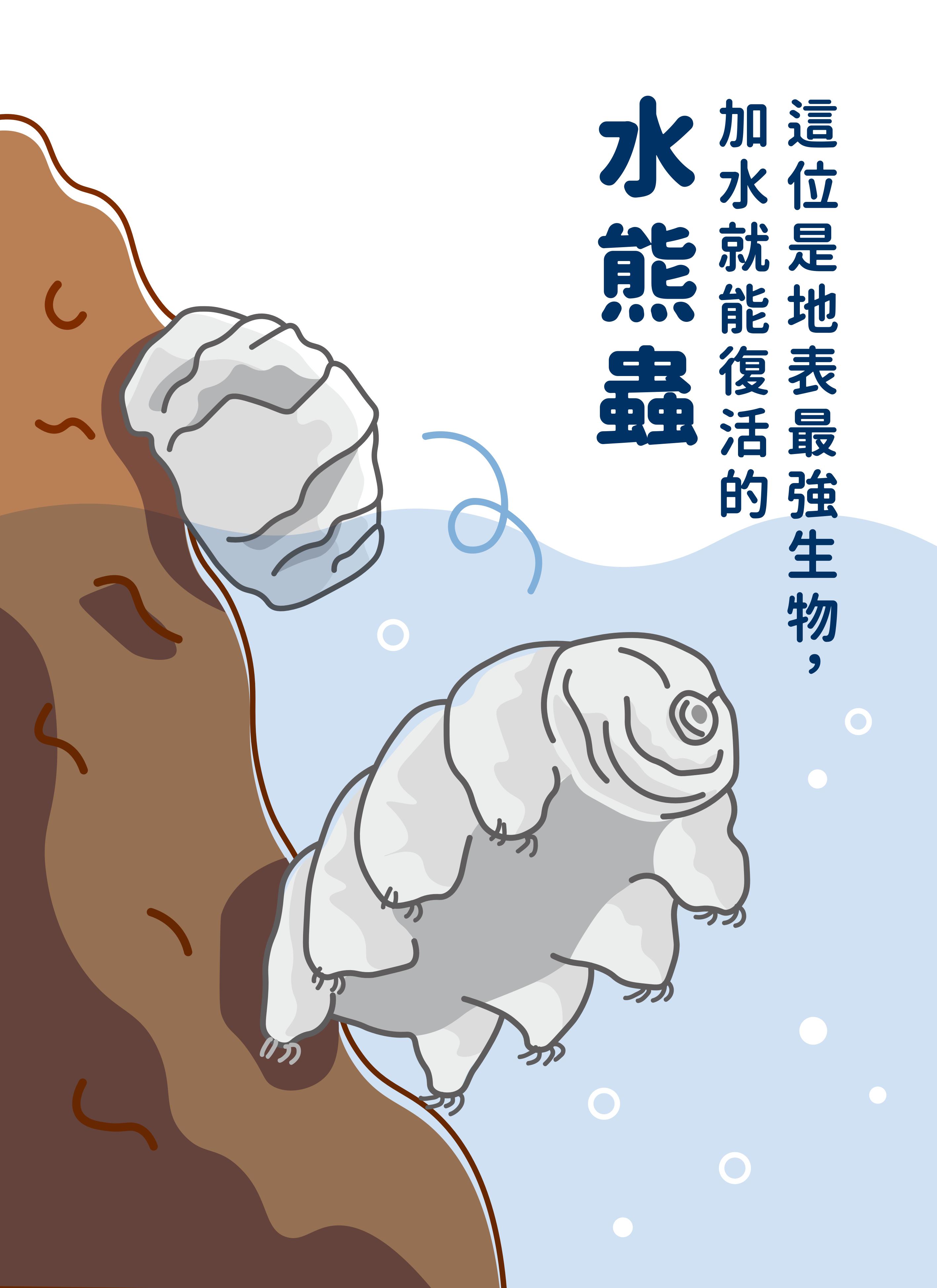 04
