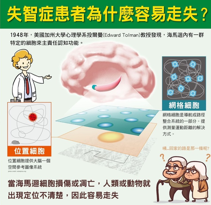 圖一：失智症患者走失原因圖示（圖／成大醫學系提供）