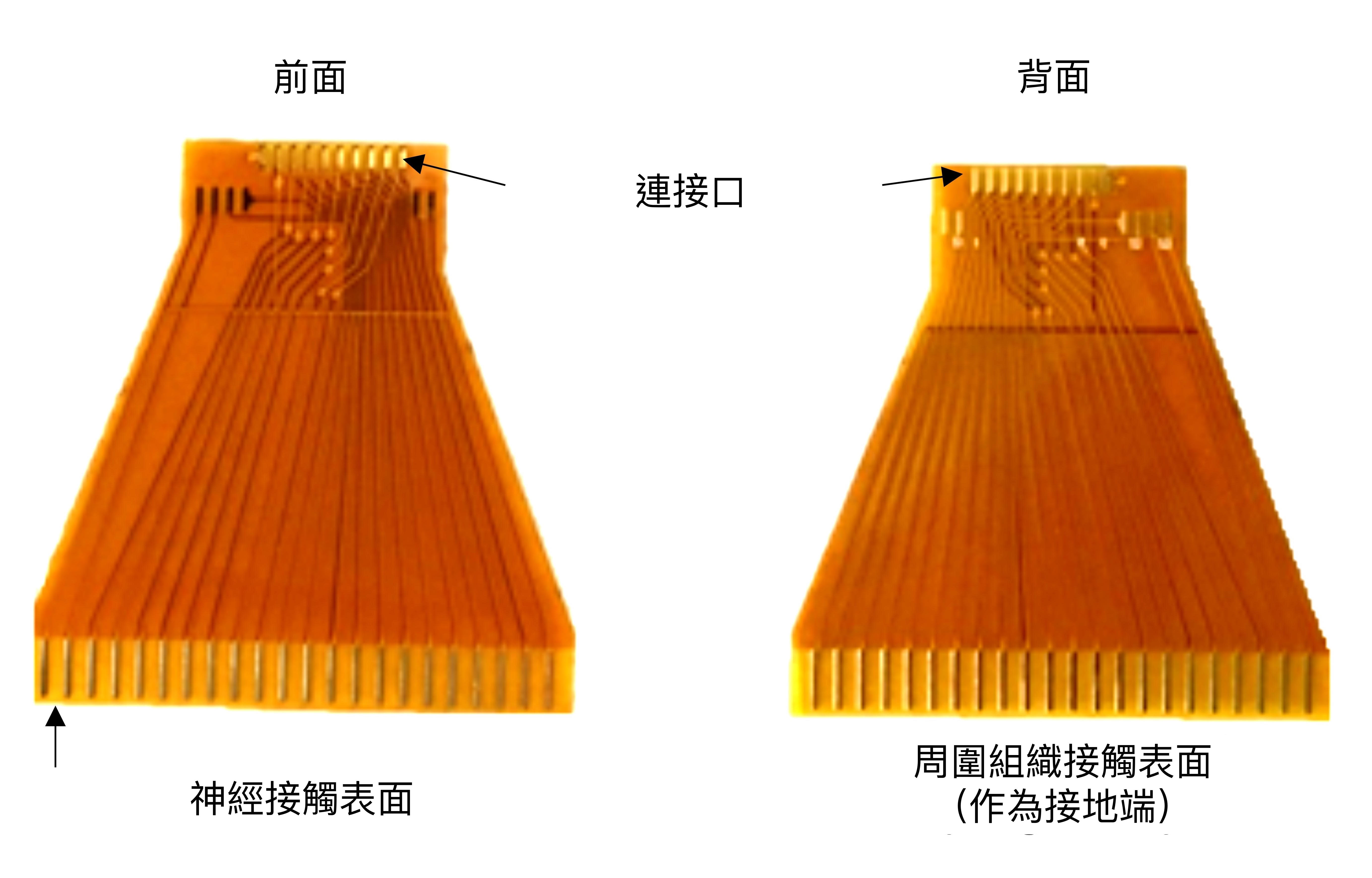 可撓式電極。（圖／裴育晟提供，作者中文化）