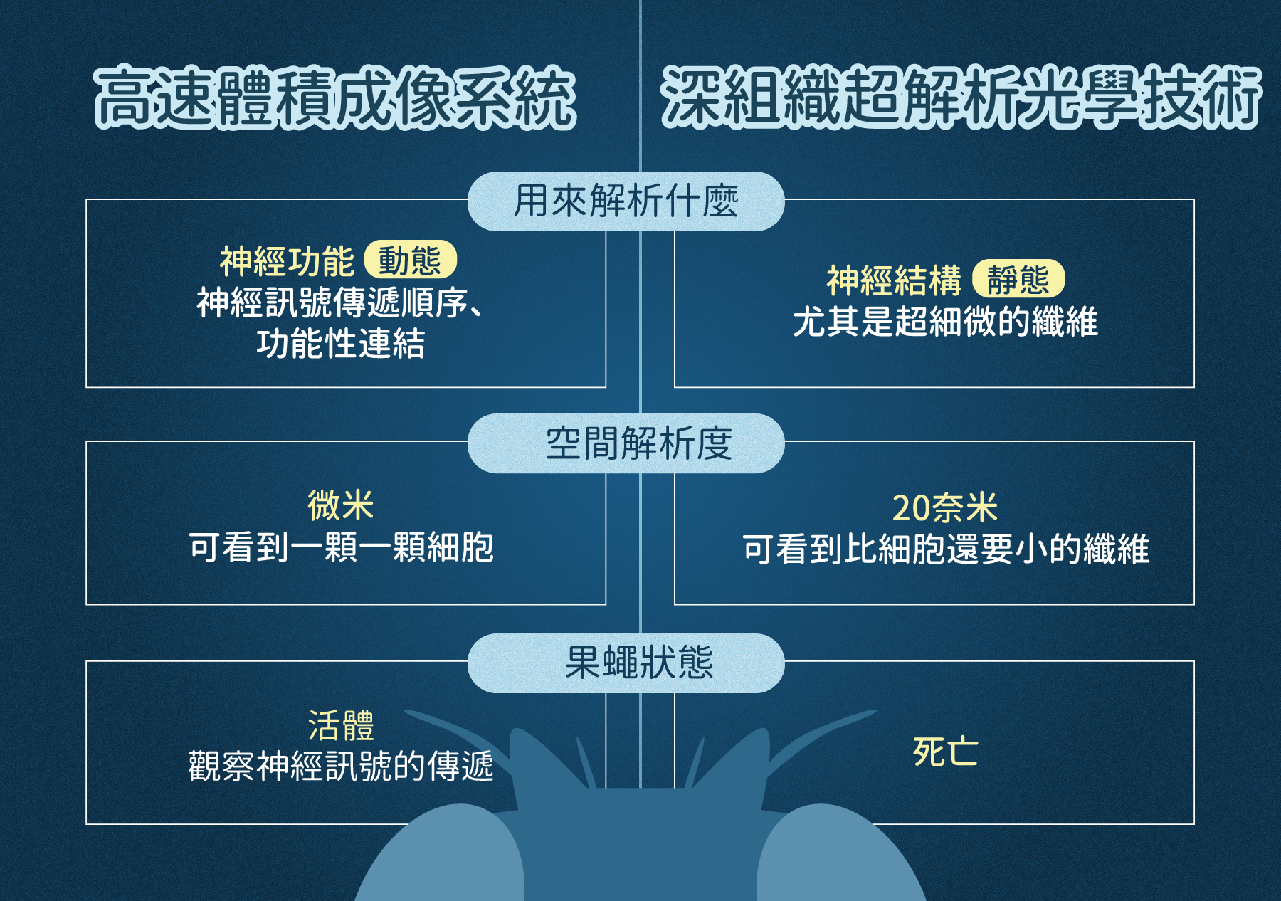 朱士維團隊開發的兩種顯微技術比較表。（圖／沈佩泠繪）