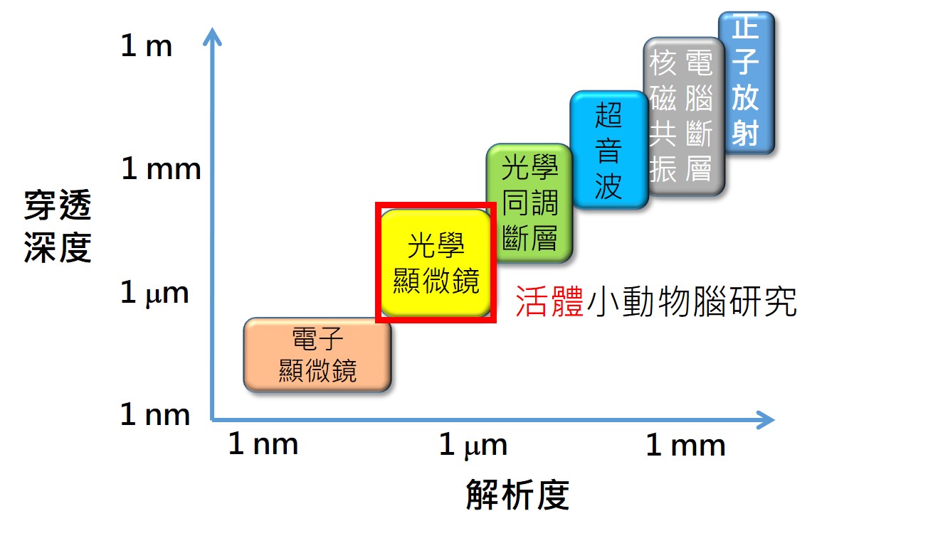 數個影像技術在解析度與穿透深度的分布。（圖／朱士維提供）