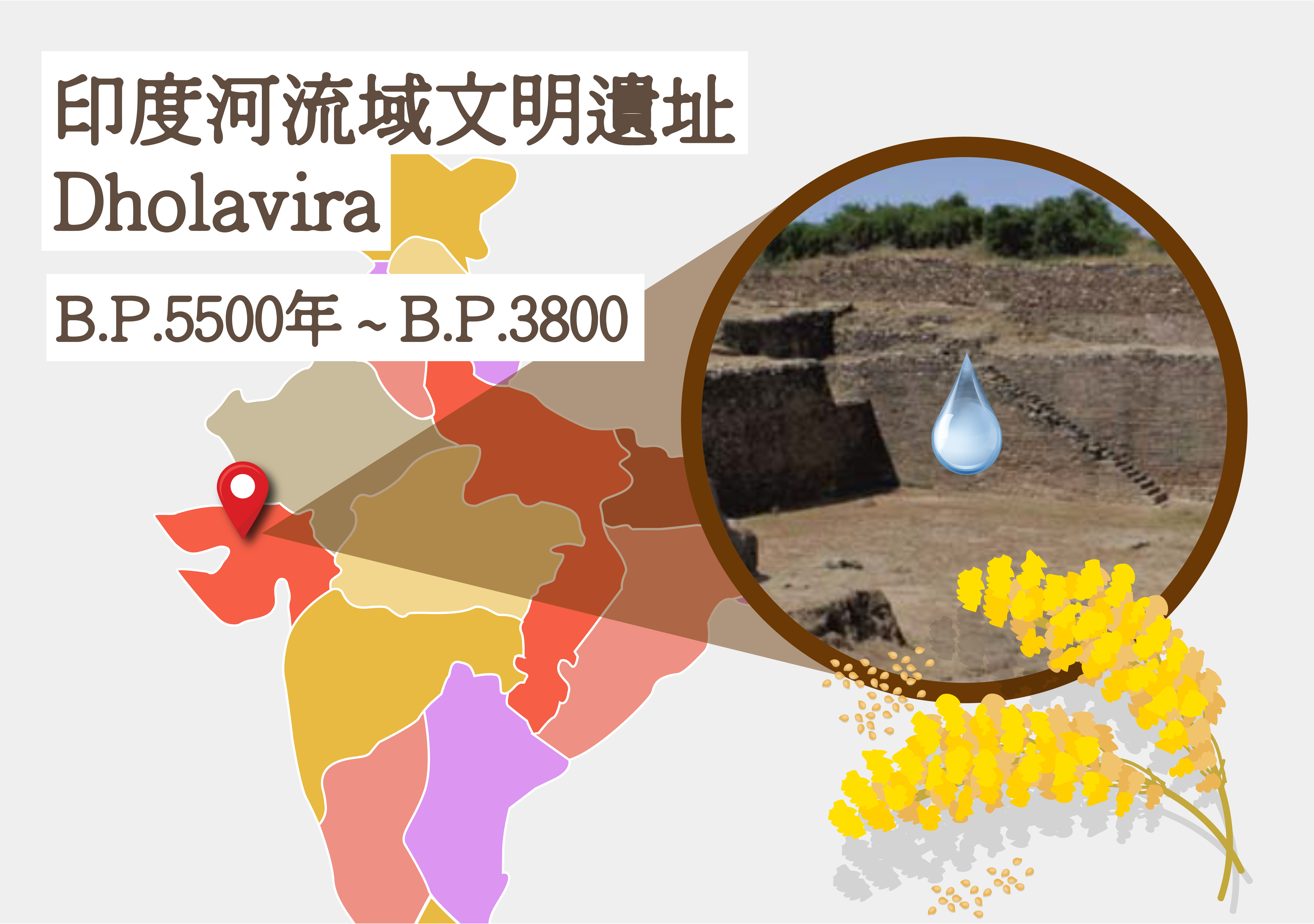 面對氣候危機，印度古文明大城Dholavira是如何應對的？（圖／何庭劭繪）