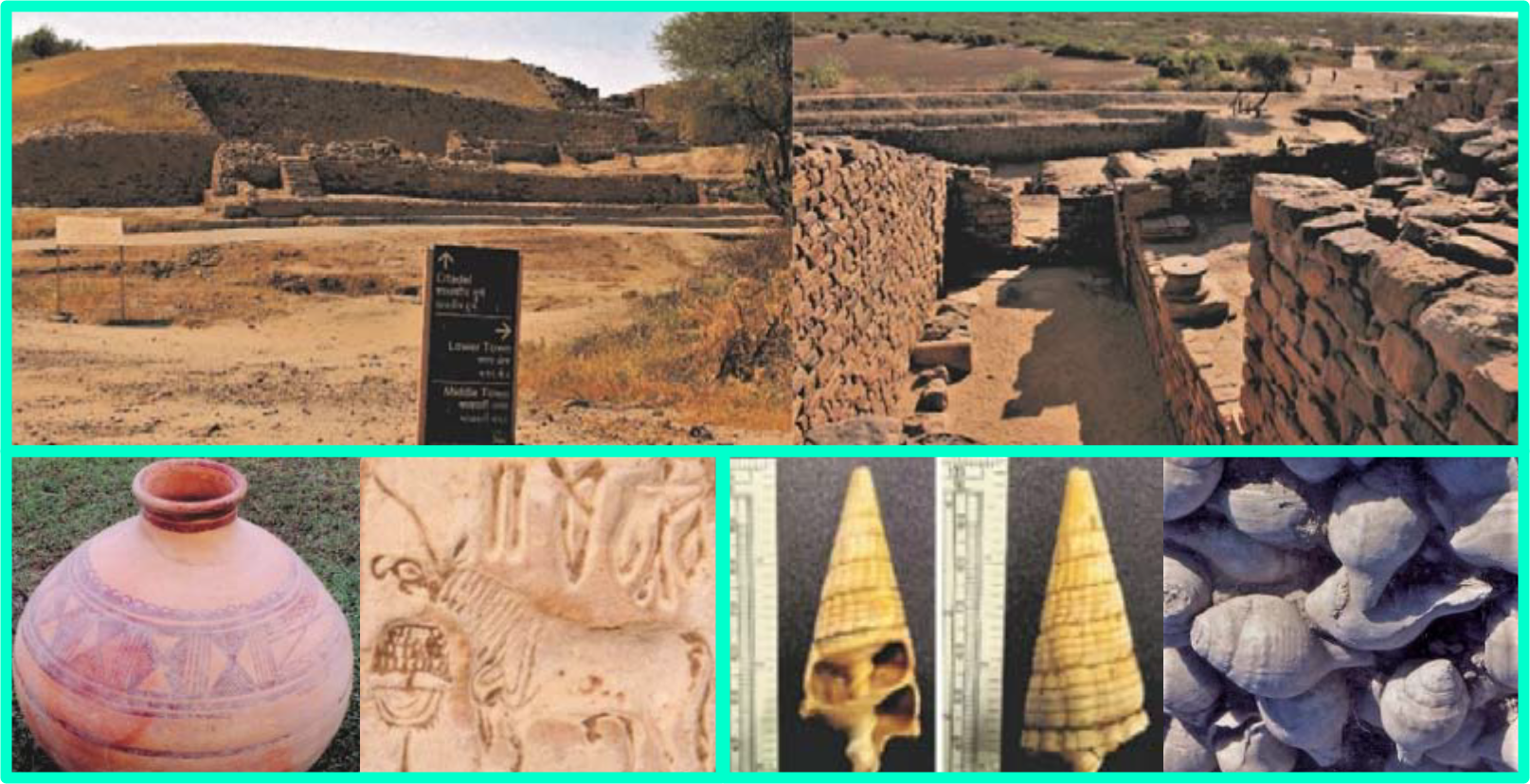 印度西北部Dholavira遺跡與文物，上方是青銅時代印度河流域文明遺址與石頭建造的城牆，左下是考古文物陶器與印章，右下是軟體動物泥海蜷與印度鉛螺的螺旋外殼，這些動物曾被過去居民食用，留下的外殼是科學家的研究材料。
