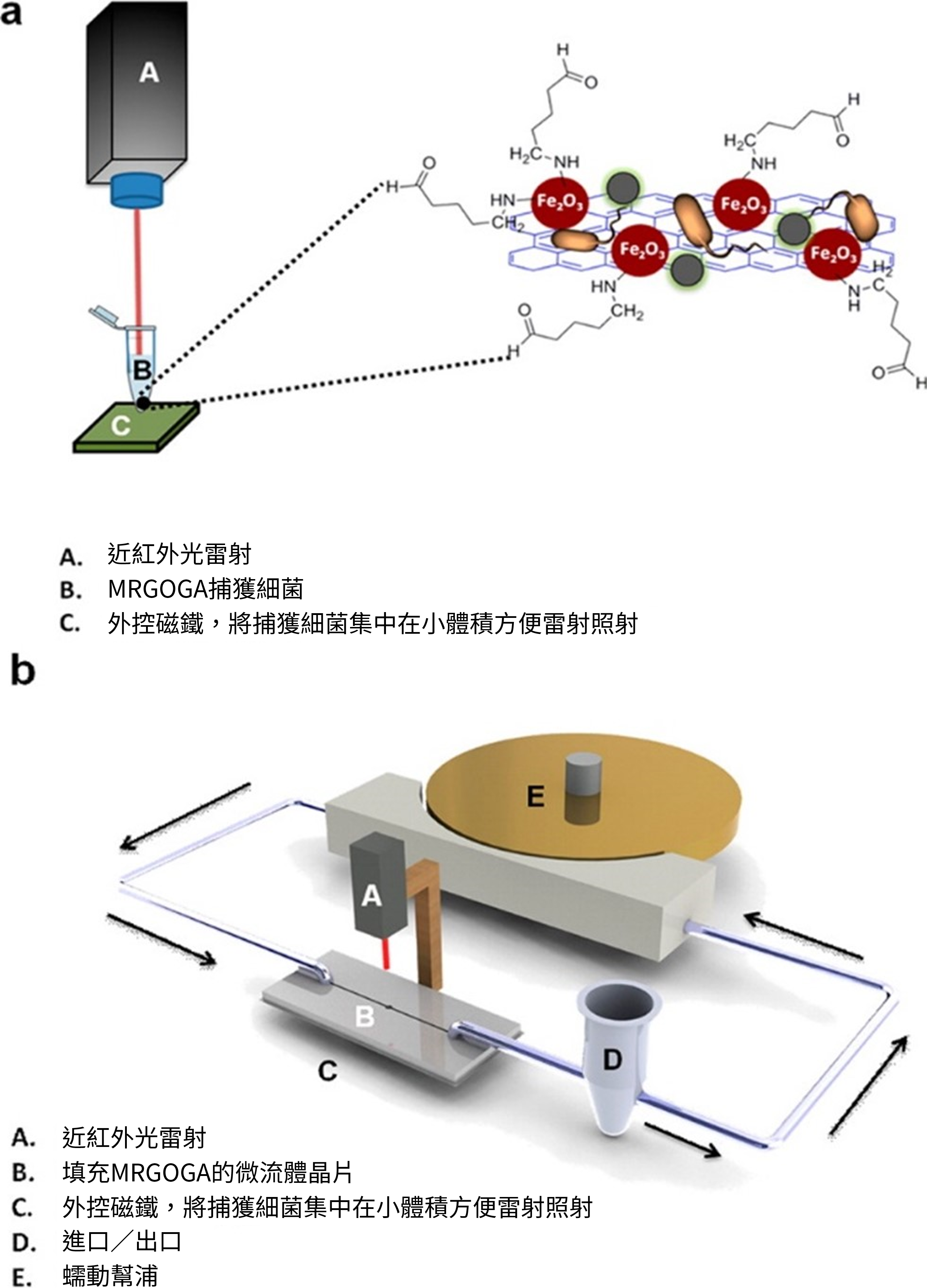 MRGOGA進行抗菌光熱處理的（a）批次處理和（b）連續操作模式示意圖。 （圖／凌永健實驗室提供）