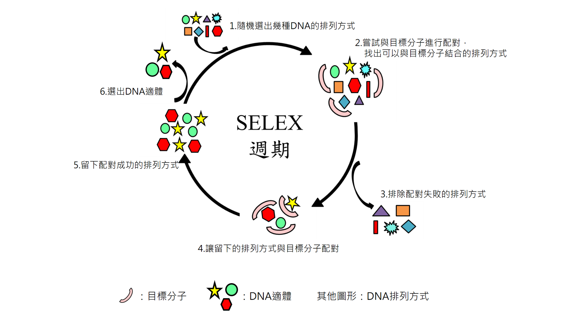 （圖／林泱蔚教授提供）