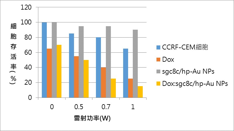 人類急性淋巴性白血病T淋巴細胞（CCRF-CEM）容易受到光熱毒殺效果（黃色柱狀），本身也會因為光熱而降低存活率（藍色柱狀）。然而，如果只用Sgc8c/hp-Au NPs（金奈米粒子，灰色柱狀）而不搭配Dox治療，光熱毒殺效果不明顯，表示金奈米粒子本身對CCRF-CEM細胞有吸收光能量保護效應，因此療效反而會降低。（圖∕黃郁棻教授團隊提供實驗數據，林泱蔚教授團隊重繪）