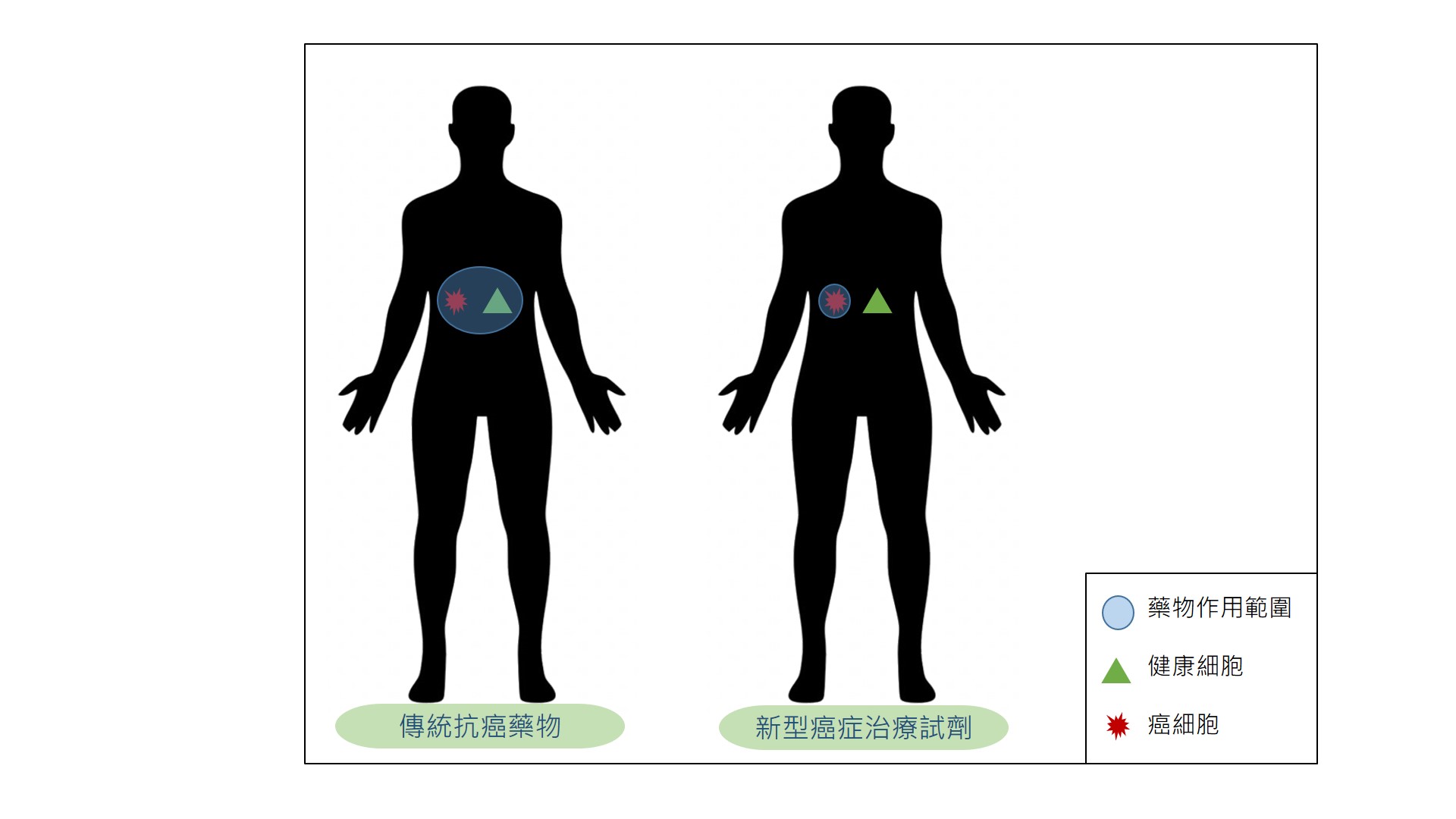 傳統的抗癌藥物會作用到周圍健康的細胞上，讓身體變得虛弱；新型癌症治療試劑會精準地將藥物作用在癌細胞上。 （圖／陳雲岫繪圖）