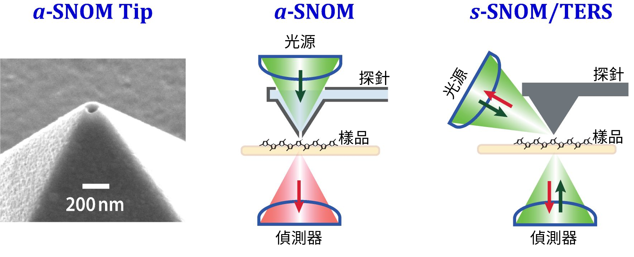 （左）a-SNOM 所使用的探針，針尖上有微孔。（中）a-SNOM 原理：綠色箭頭表示光從上方經微孔射入樣品，紅色箭頭表示偵測器接收光訊號。（右）s-SNOM 原理：綠色箭頭表示光聚焦於針尖，紅色箭頭表示偵測器接收光訊號。光源與偵測器的位置可互換。（圖／陳祺提供）