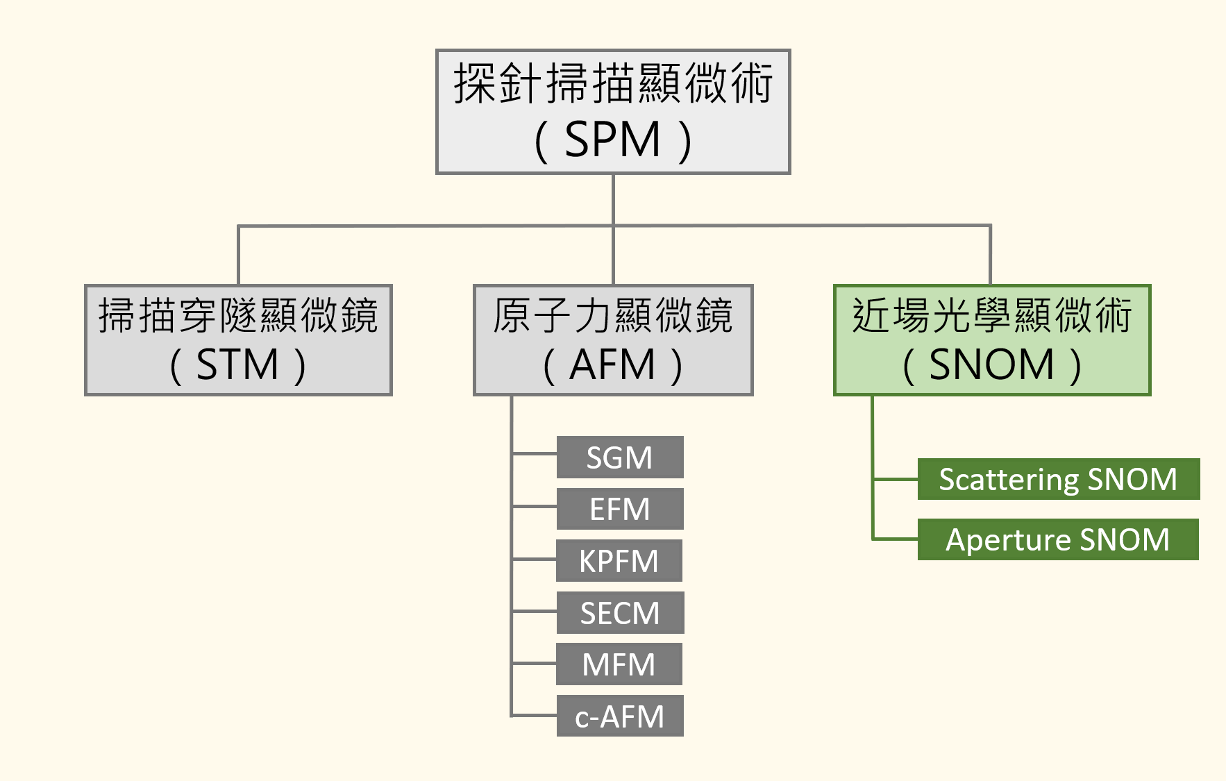 探針掃描顯微術（SPM）家族。僅示意，並未包含所有的成員。（圖／劉馨香製圖，資料來源：陳祺）