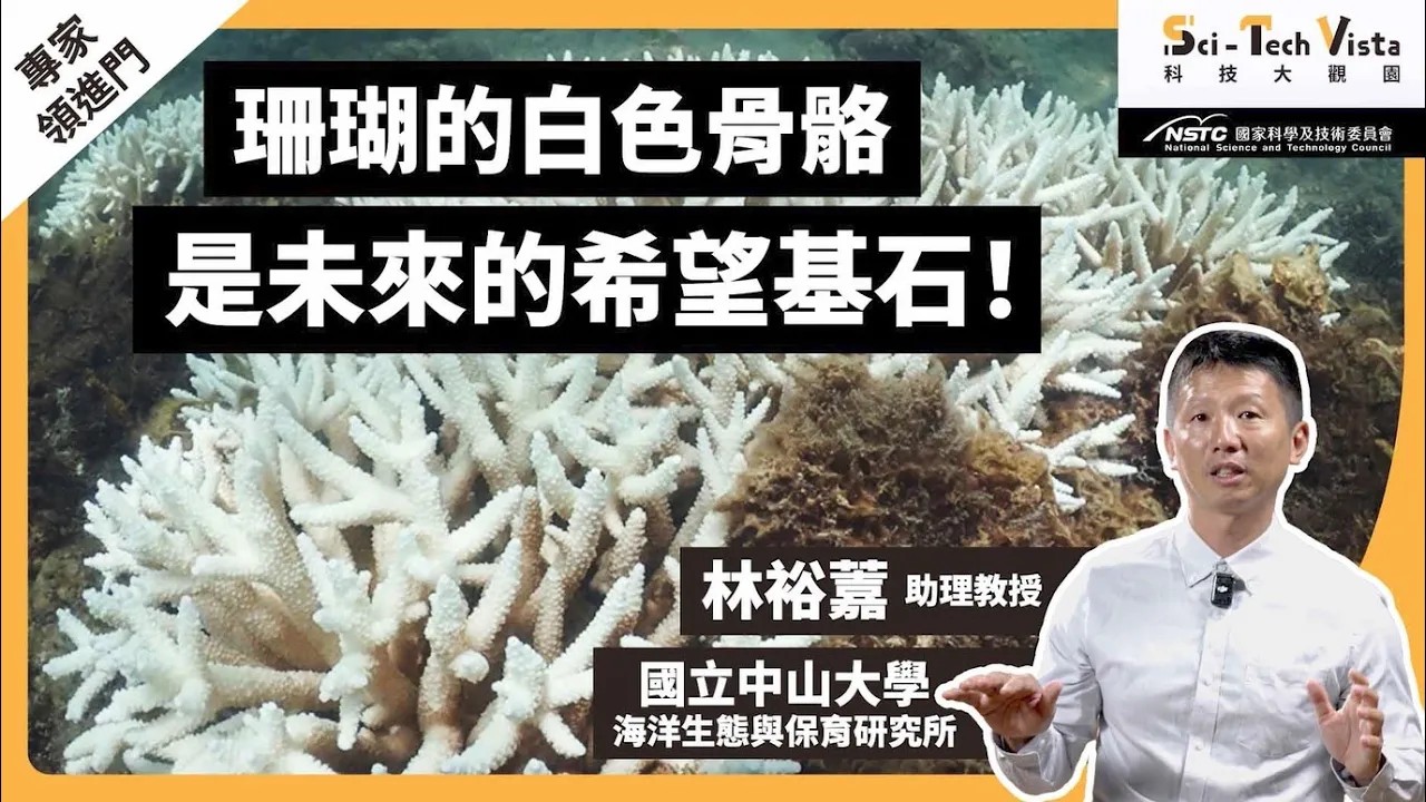 珊瑚的白色骨骼是未來的希望基石！